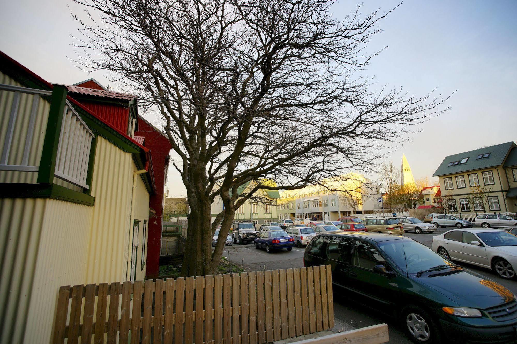 Grettir Guesthouse Reykjavik Ngoại thất bức ảnh
